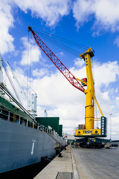 Townsville Berth 10 crane